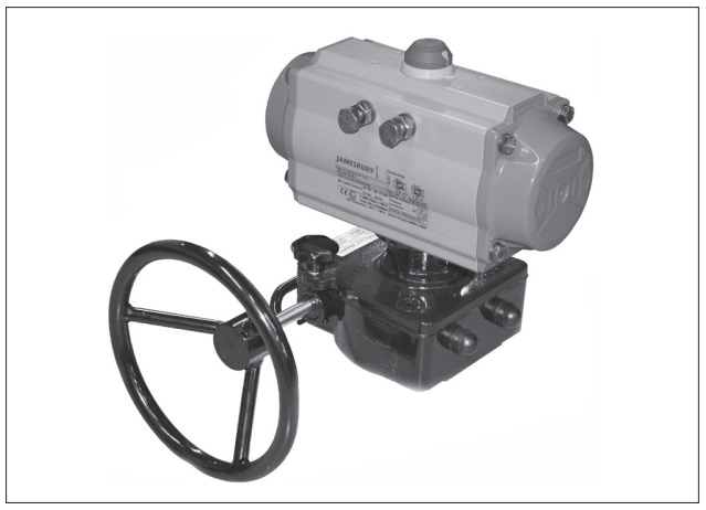 Jamesbury™ Valv-Powr™ (VPVL)